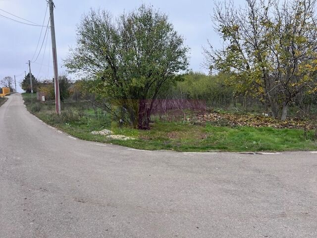 Teren Comana- strada Funieru.