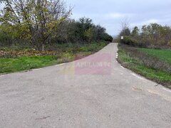 Teren Comana- strada Funieru